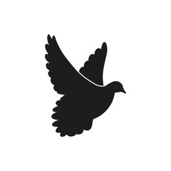 Fototapeta premium Flying black dove as symbol of peace