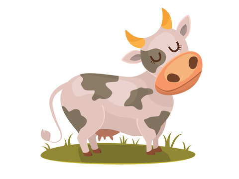 Isolated funny cow on white background, vector character.