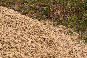 Pile dry corn cobs.