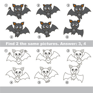 Visual game. Find hidden couple of Vampire Bats