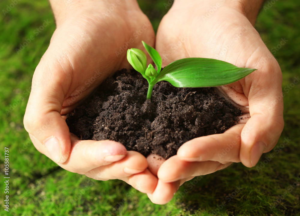 Poster male hands holding soil and plant on grass background