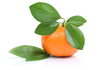 Mandarine Frucht Freisteller freigestellt isoliert © Markus Mainka