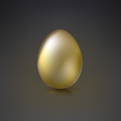 Golden Egg on dark background.