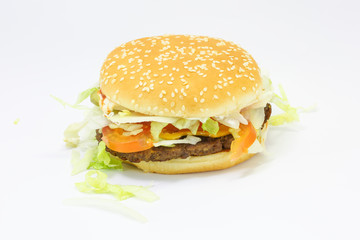 Grilled Beef Chicken Burger Sandwich