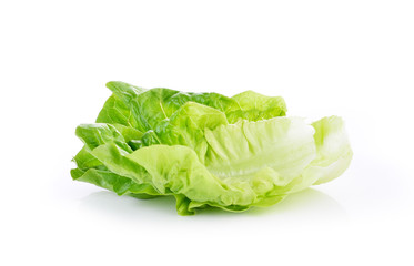 Romain Lettuce isolated on a white background