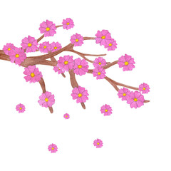 Watercolor sakura branch with blooming flowers.