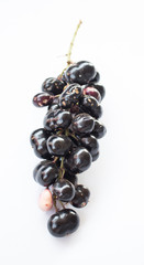 Black berry fruit