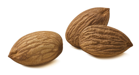 Almonds opposite nuts groups isolated on white background as package design element