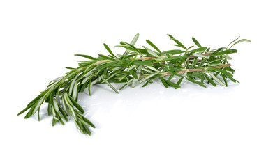 fresh twig of rosemary on white background