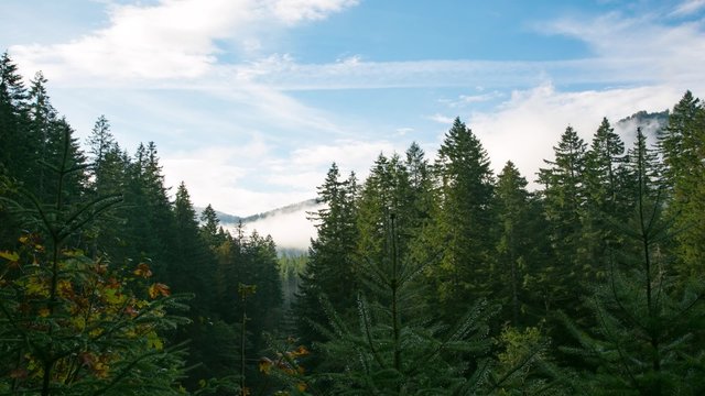 A view of the nearby mountains from the Obstruction point and Olympic National Park Visitor's center, timelapse