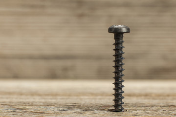 screw screwed into wooden plank