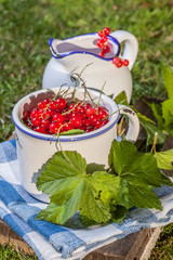 Redcurrant in a ceramic container.