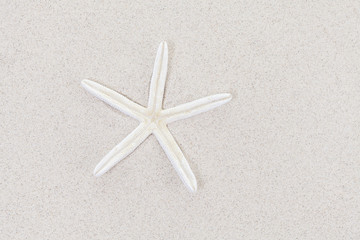 Fototapeta na wymiar White starfish on sand, space for text