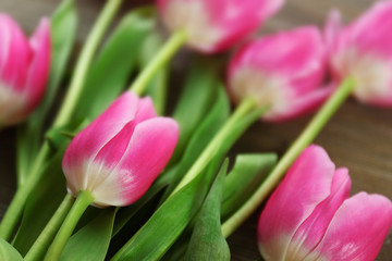 Fresh pink tulips on a wooden table, close up