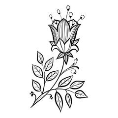 Black-and-white contours of abstract flowers on a white background