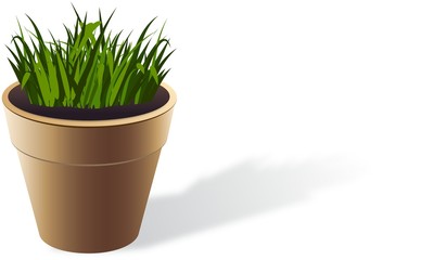 Brown flowerpot with grown grass