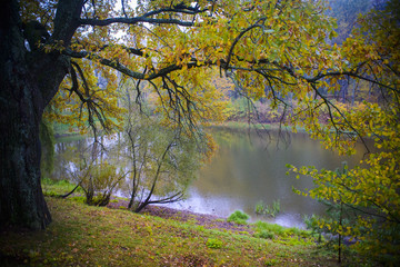 beautiful Forest lake in autumn with reflection water