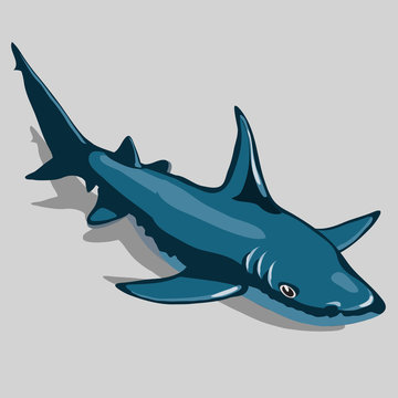 Blue fish closeup, isolated icon for design needs