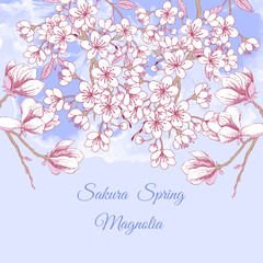 Sakura and Magnolia