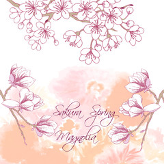 Sakura and Magnolia