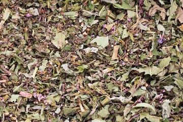 Herbal tea medicinal plants, homeopatic.