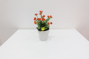 Flower in the white vase on the white table