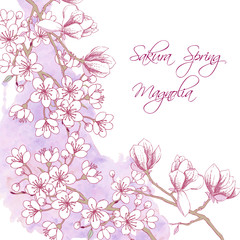 Sakura and Magnolia