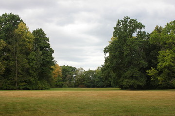 Fototapeta premium jesień