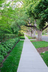 Obraz premium Chodnik na Beverly Hills w Kalifornii