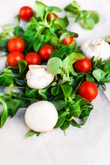 Fresh Vegetable Ingredients for the salad