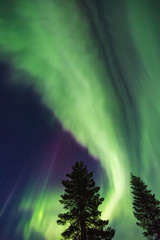 Northern lights (Aurora borealis) in the sky