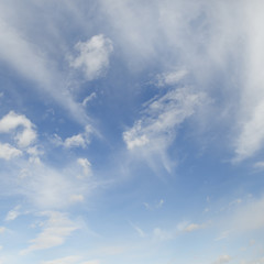 cirrus clouds in the blue sky