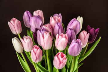 Fototapeta premium Colorful tulips close-up