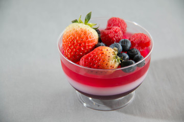 Three color jelly with fresh fruit
