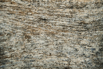 Grunge wood texture. Pattern of old weathered timbered wall.