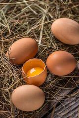 Brown hen eggs
