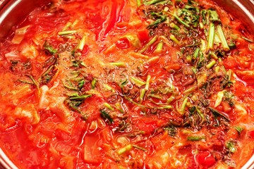 Russian soup with fresh herbs