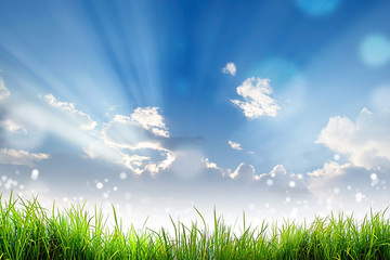 Fototapeta na wymiar Green Grass and bokeh light sun and cloud sky