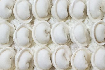 Uncooked dumplings closeup