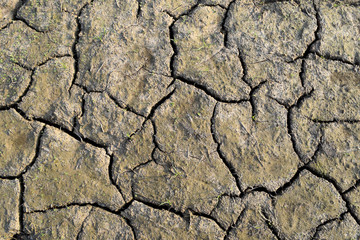 Top view Dry soil is rift Close up