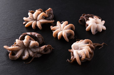 Raw fresh octopus on a dark
