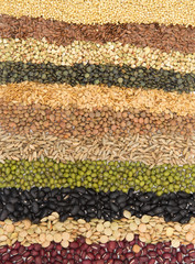 Border Collection of Cereal Grains and Seeds 
