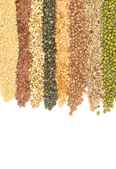 Border Collection of Cereal Grains and Seeds : Rye, Wheat, Barley, Oat, Sunflower, Corn, Flax, Poppy, Millet close up isolated on white
