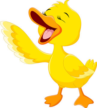 Cute duck laugh cartoon isolated on white background