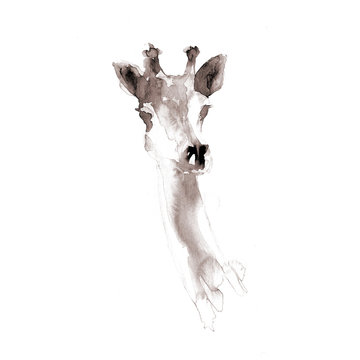 Giraffe. Watercolor illustration on white background.