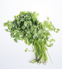 parsley isolated on white background