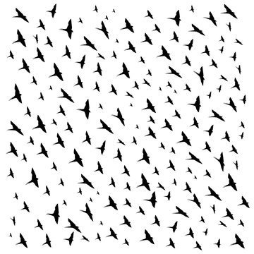 a flock of flying birds. Vector
