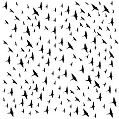 A flock of flying birds.