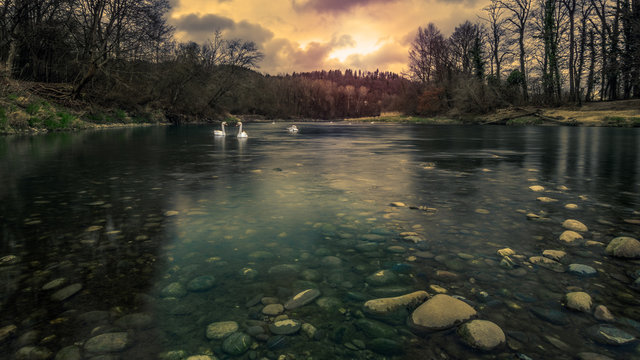 Auenlandschaft Aarau