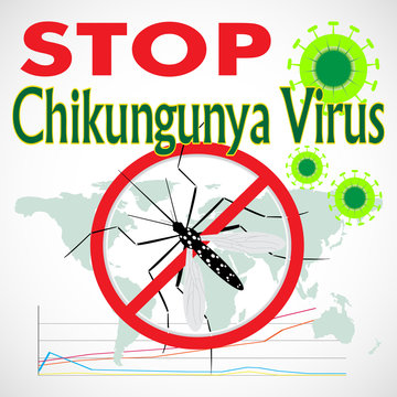 Warning, Prohibited sign with mosquito with Stop Chikungunya Virus. Nature Aedes Aegypti. Ideal for educational, informational, or related health advisory. Editable vector